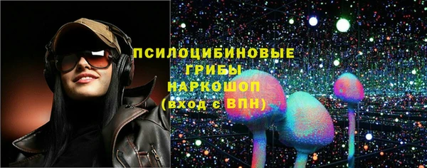 a pvp Гусев